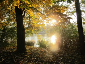 gemeinsamvital alte donau herbst